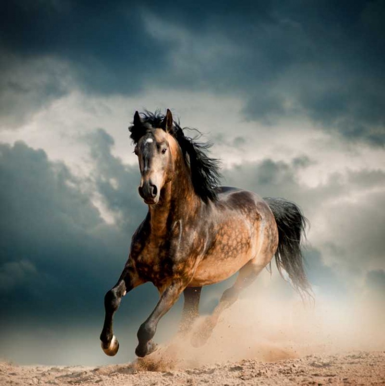 shutterstock_159883082